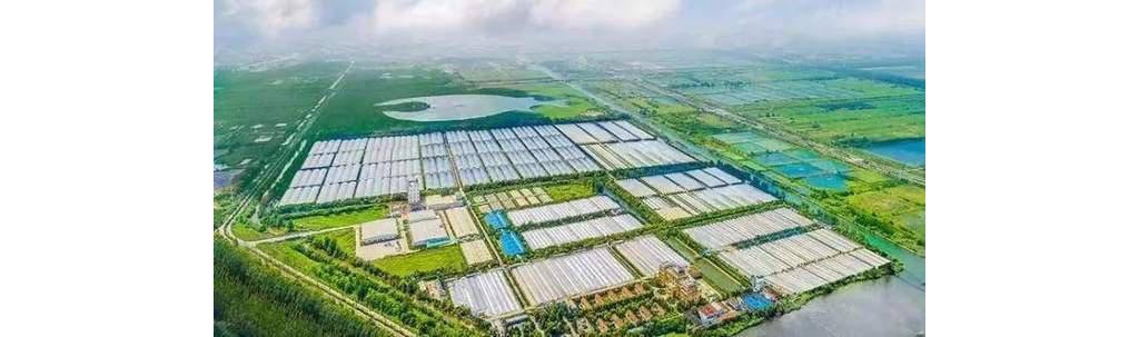 5G、手機(jī)、鴻蒙外，華為有一條低調(diào)硬核賽道，3年做到環(huán)球第一